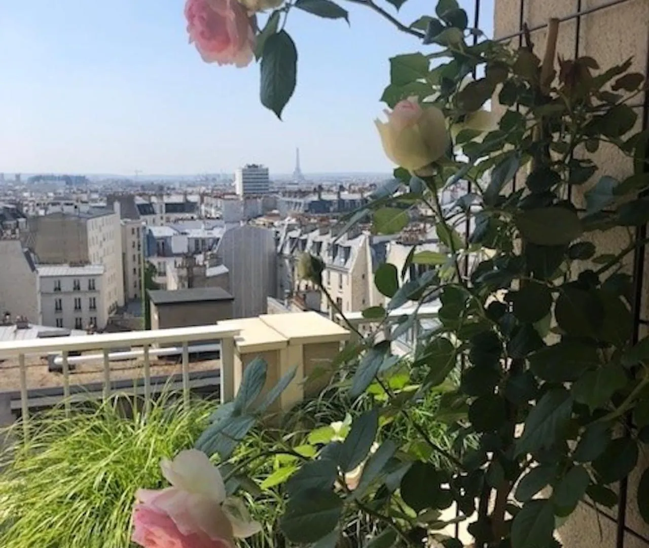 Magnificent Penthouse Panaramic View Of *